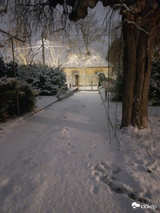 Észlelési fényképek