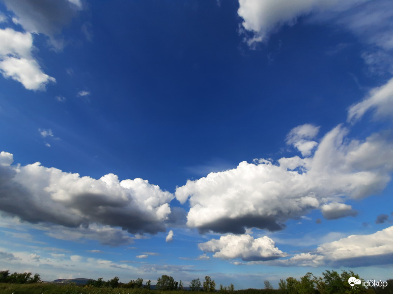 Mindjárt leszállnak a kertbe 