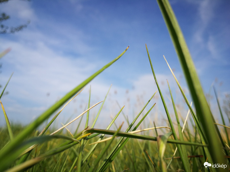 Kék az Ég zöld a fű