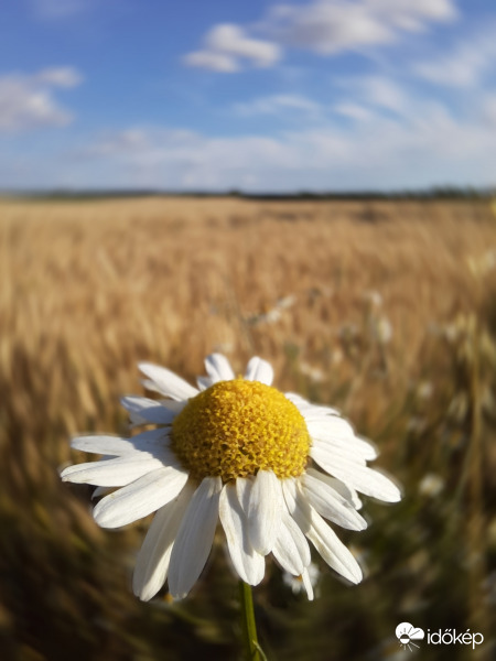 Most körülötte forog a Föld :)