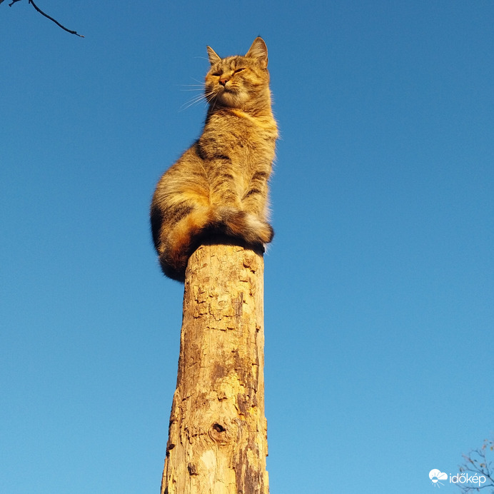 "Közelebb ültem a Naphoz...Így jobban melegít..." :)