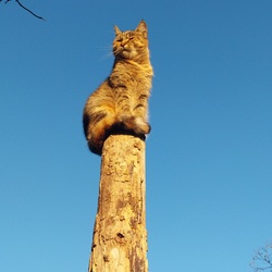 "Közelebb ültem a Naphoz...Így jobban melegít..." :)