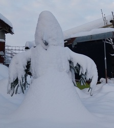 Ma reggel még a hóemberünket sem ismertük meg :)