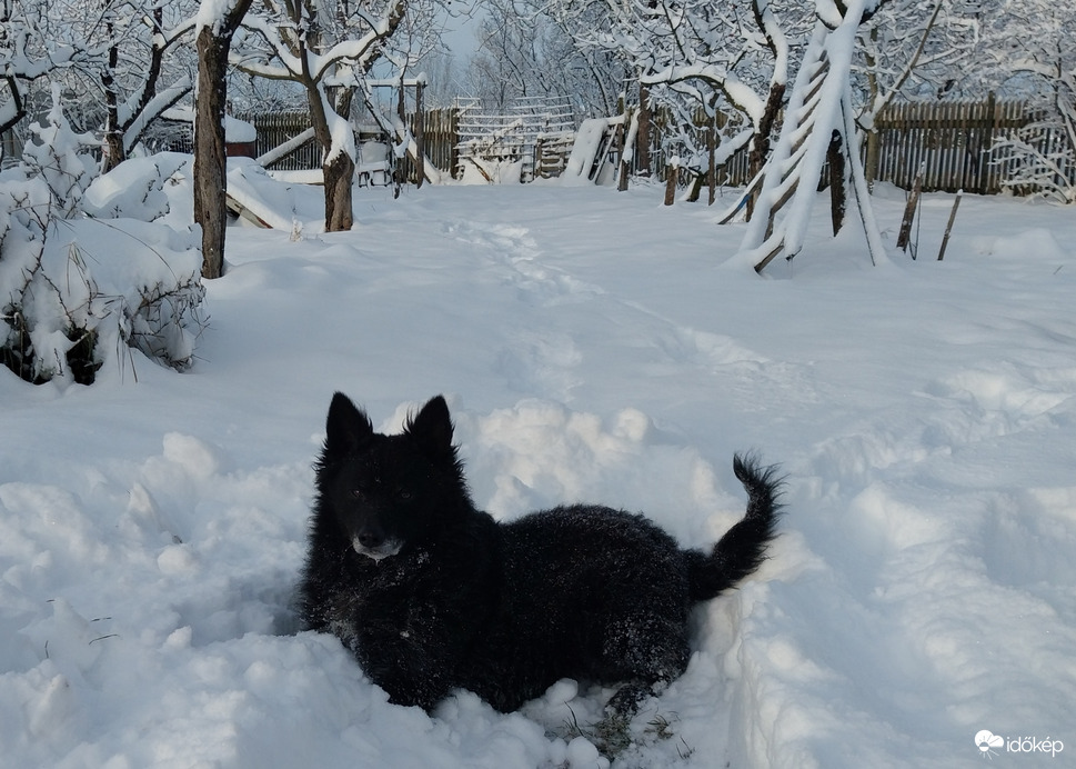 Na mi szólsz, milyen sok havat összetereltem?! :) 