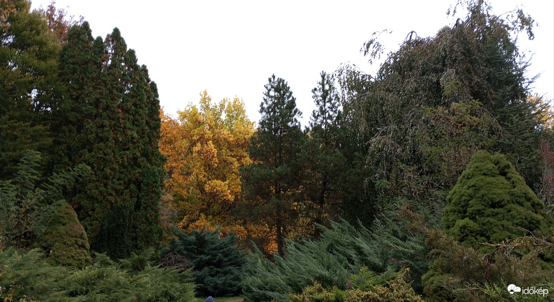 Erdőtelki Arborétum 