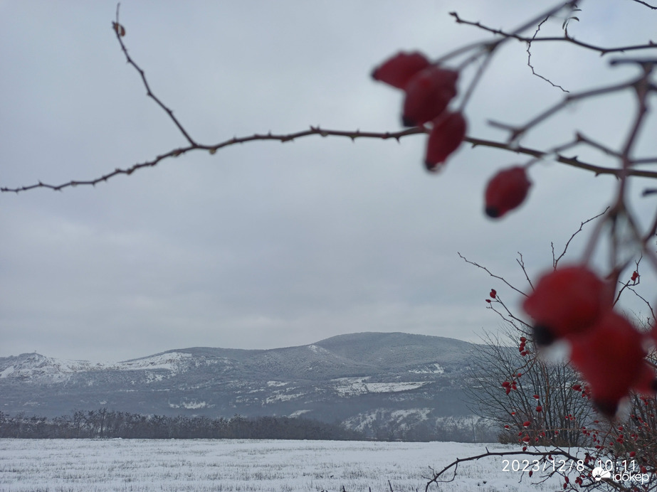 Észlelési fényképek