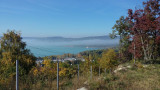 Balatonfűzfő