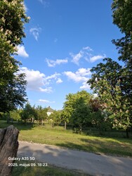 Súr