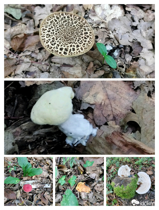 Gyönyörű természet