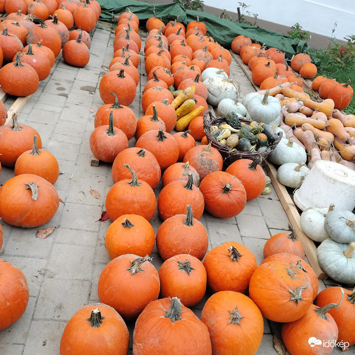 Természet ajándéka 