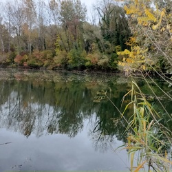 Bélavár kavicsbánya 