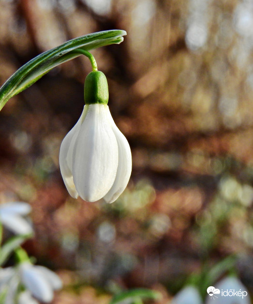 Igazi, tavaszt idéző... :) 