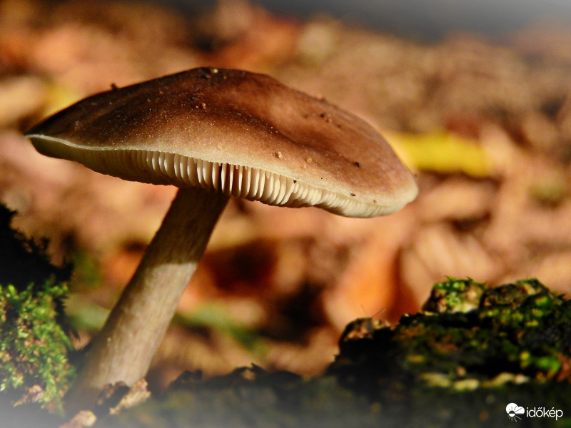 Mai kedvenc fotóm! :) 