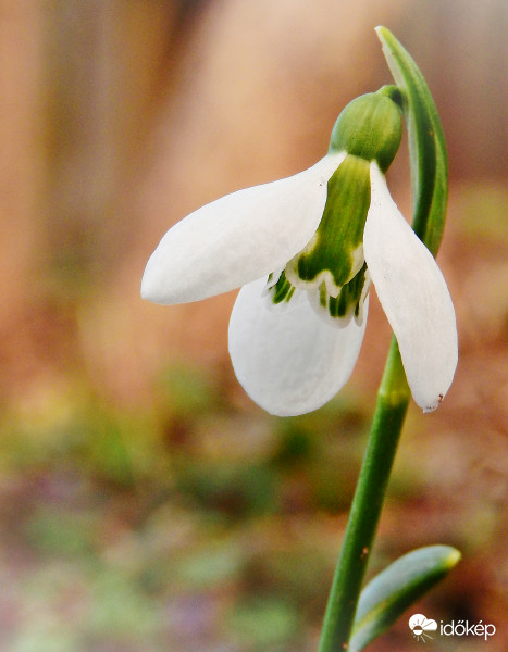 Február első fotói közül :) 