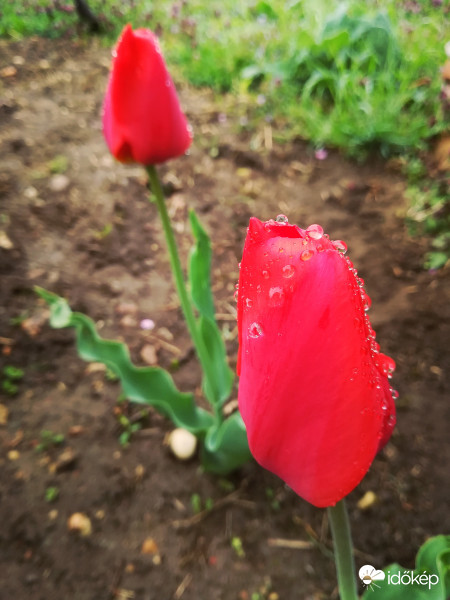 ..., mert az esőben is meg kell látni a szépet! :) 