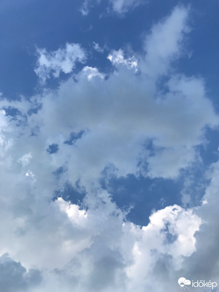 Észlelési fényképek