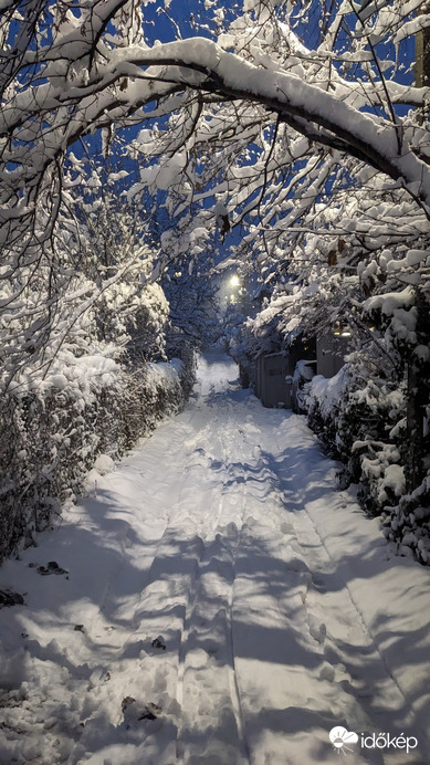 Észlelési fényképek