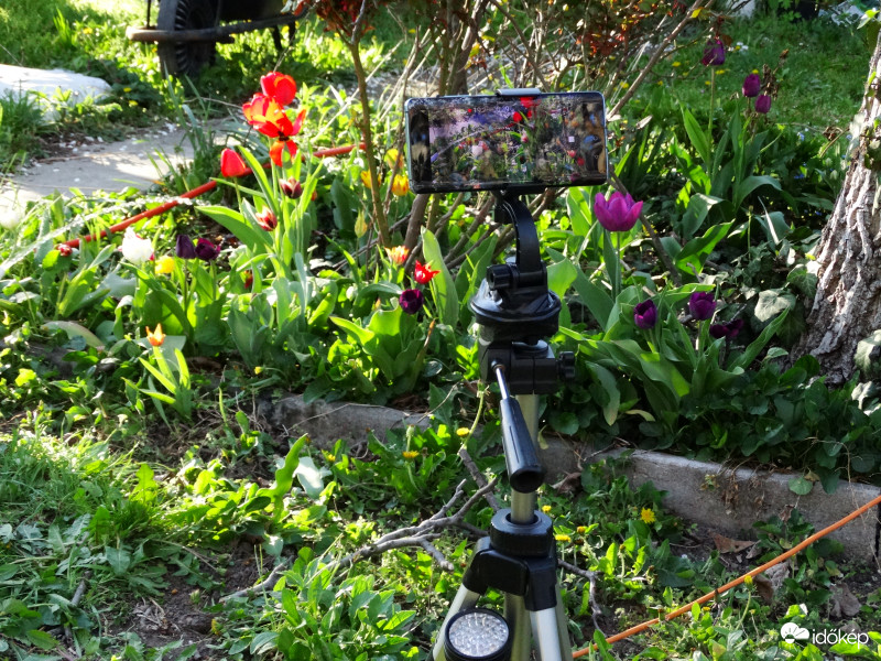 Húsvéti Maradj Otthon-Kihívás 1