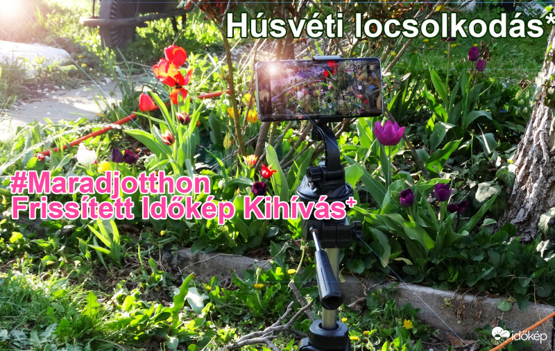 Húsvéti Maradj Otthon-Kihívás 3