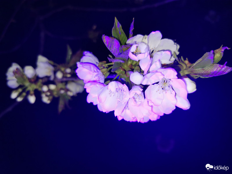 Lehetetlen színek - 2