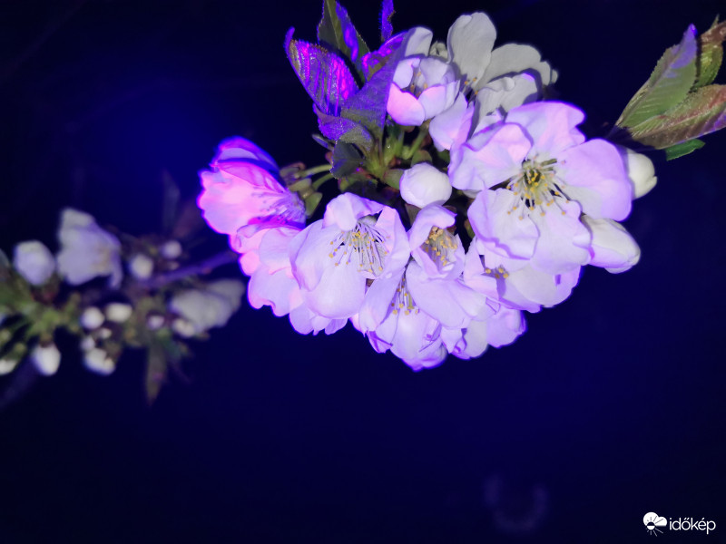 Láthatatlan színek - 5