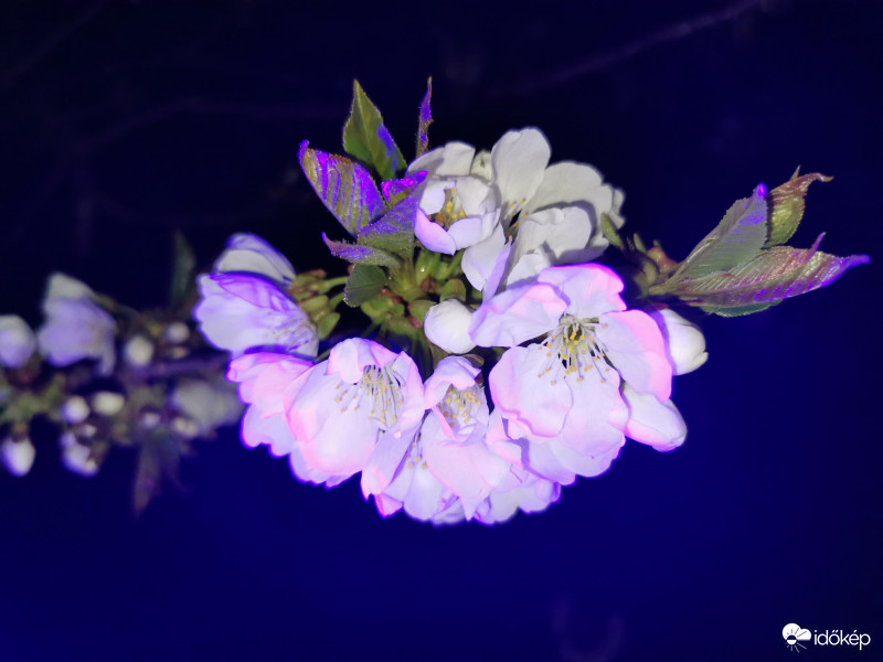 Láthatatlan színek - 4