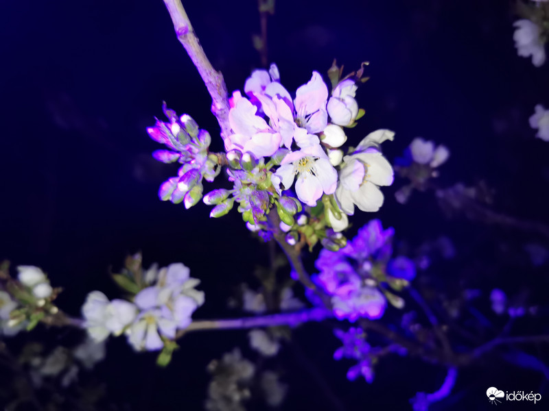 Láthatatlan színek - 9