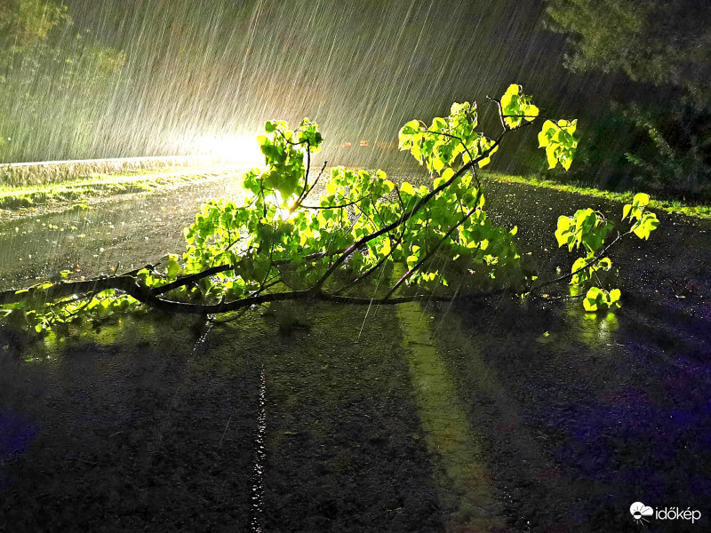 Törött faágak az utakon
