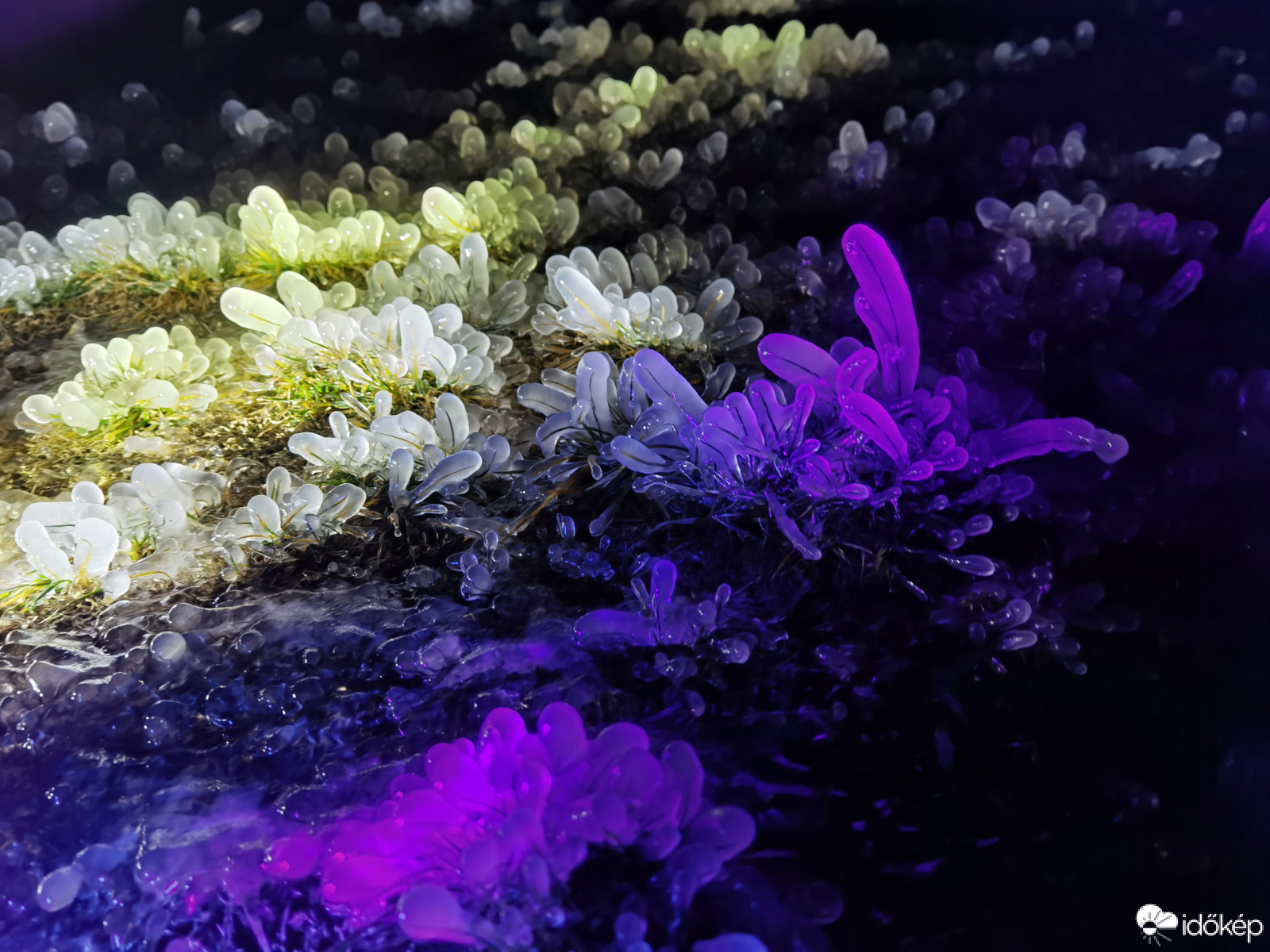 Egy idegen világ - jégbe zárva 43