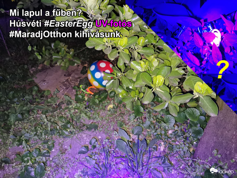 Mi Lapul a fűben Easter Egg kihívás Headline 1