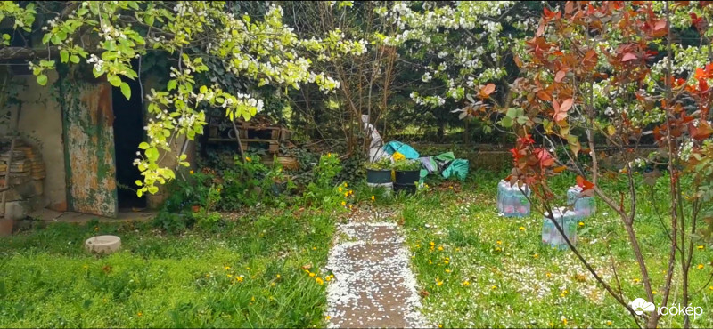 Szeles napok szépségei - Kiajánló 1