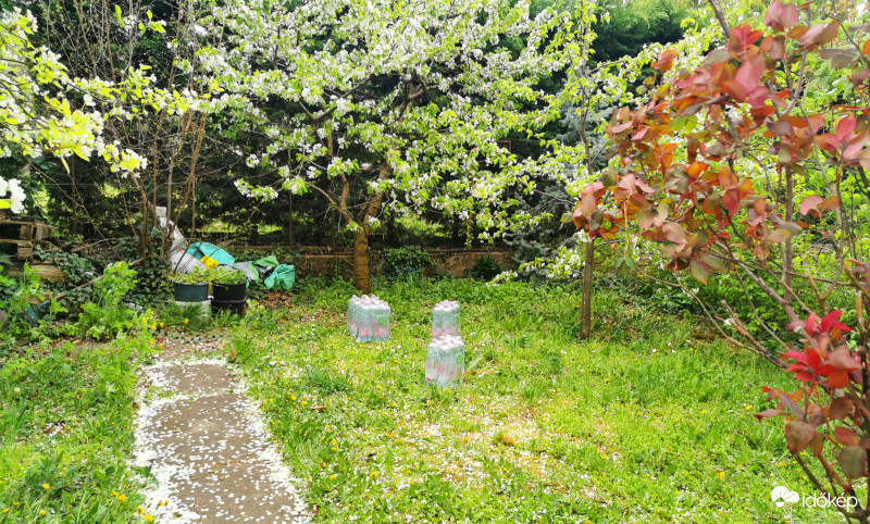 Szeles napok szépségei - Kiajánló 2