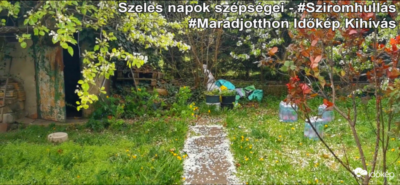 Szeles napok szépségei - Kiajánló 7