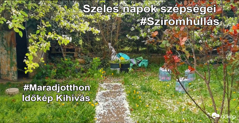 Szeles napok szépségei - Fb Kiajánló 7