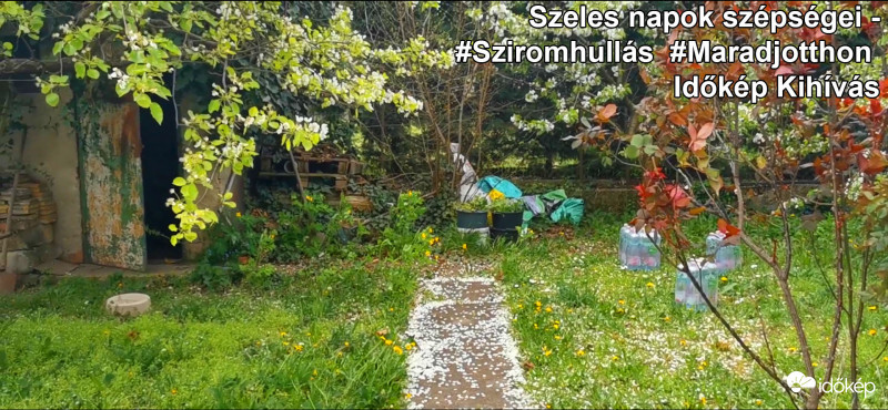 Szeles napok szépségei - Kiajánló 5