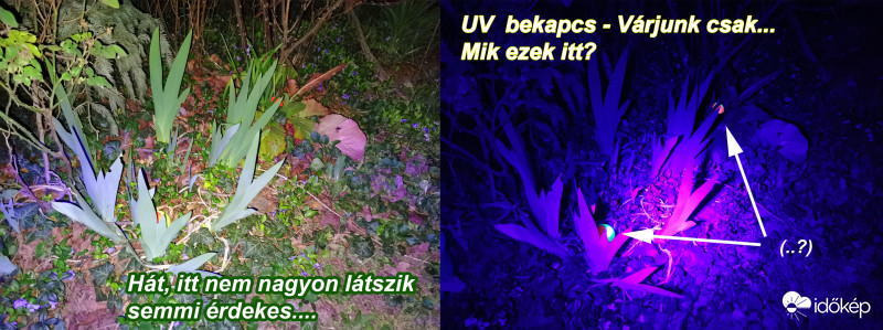 Uv-Normál-Teniszlabda1