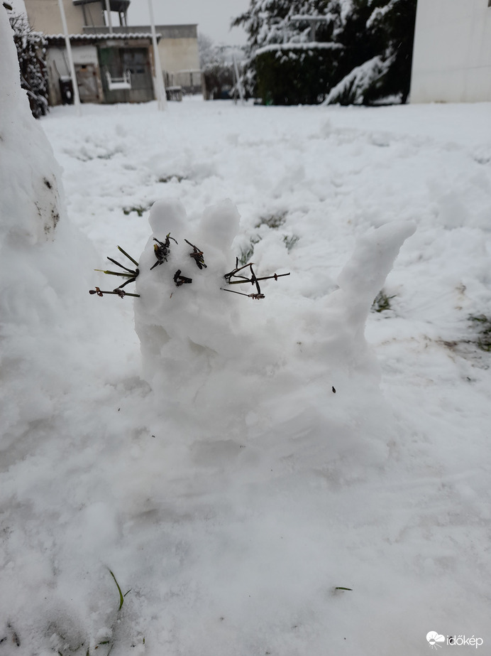 Észlelési fényképek