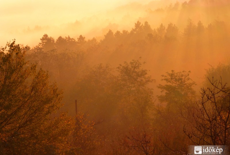 Őszi ködön áthatoló napsugarak