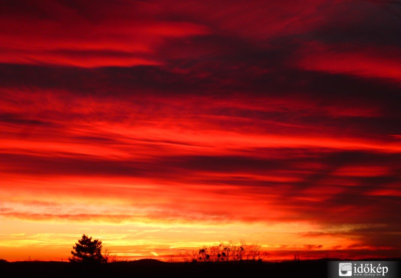 Tavalyi krepu (2014. 12. 23., 16:13-kor)