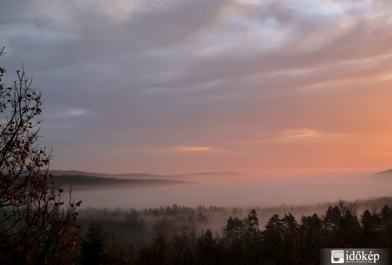 Őszi ködös reggel Gödöllőn