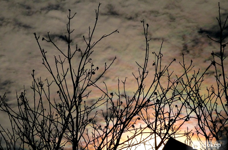 Mai felhő - iriza Gödöllő felett