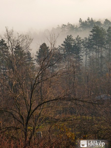 Decemberi köd (ma 09:33-kor)