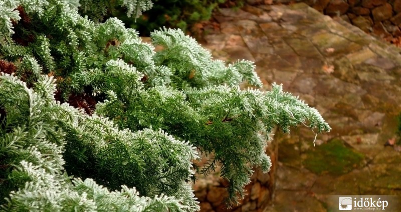 Ma délelőtti zúzmara