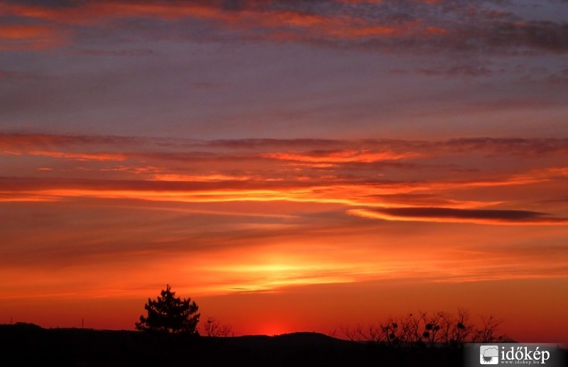Narancsos  színekbe öltözve