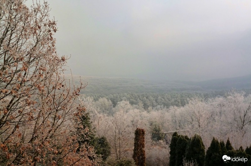 Szűrt napsütésben a zúzmarás táj