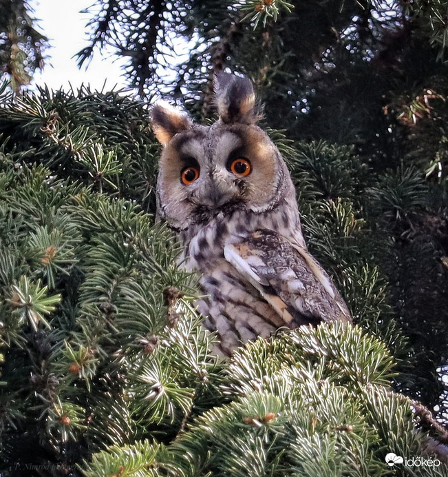 Térfigyelő kamera :D