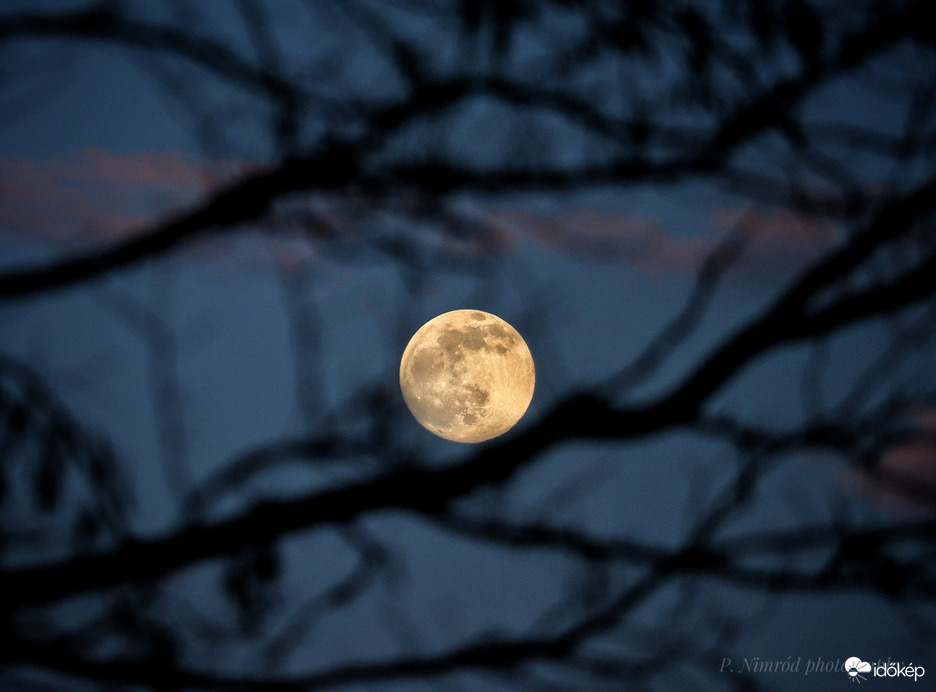 Mai majdnem telihold ☺️ 4.