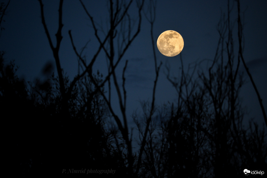 Mai majdnem telihold ☺️ 7.