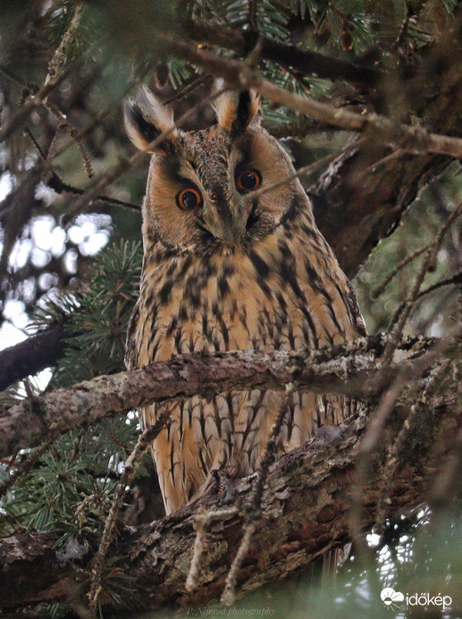 Mindketten meglepődtünk ☺️