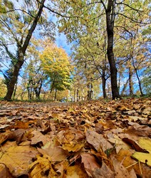 Itt van az ősz, itt van újra...